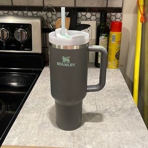 40 oz Grey and Mint Stanley Cup
